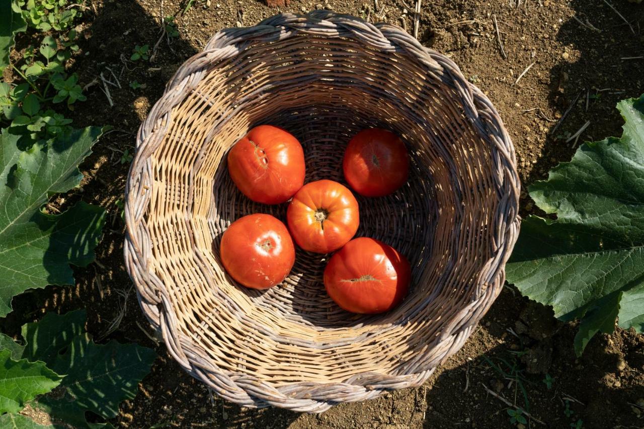 Appartamento Giulio Villamagna  Ngoại thất bức ảnh